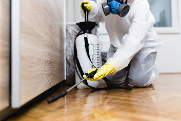 Best Pest Prevention Services  in Temple City, CA