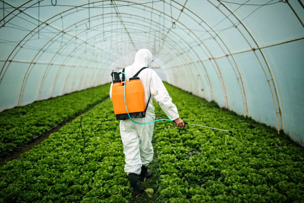 Pest Control for Restaurants in Temple City, CA