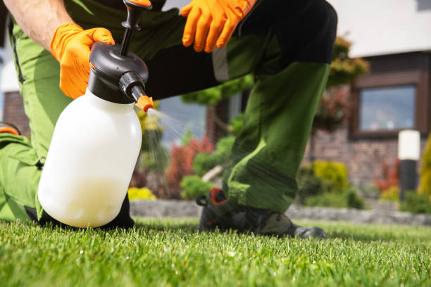 Best Affordable Pest Control Services  in Temple City, CA