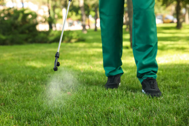 Bird Control in Temple City, CA