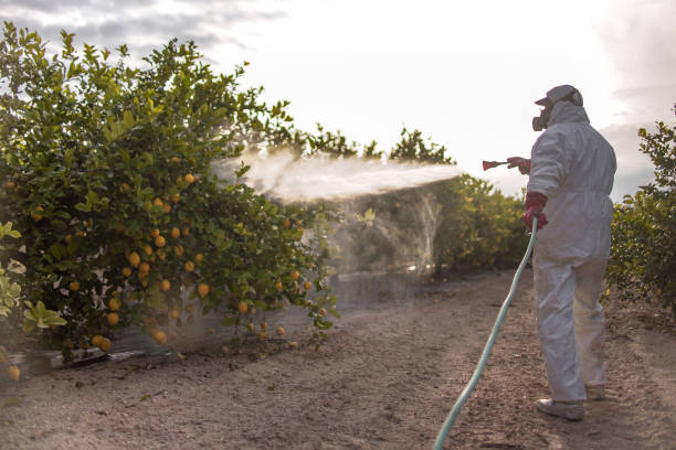 Best Exterminator Services  in Temple City, CA