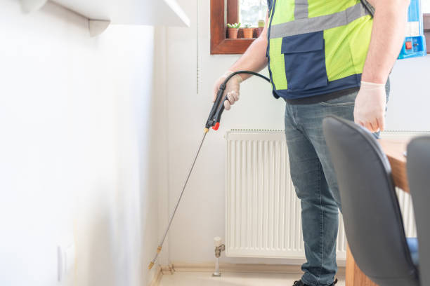Flea Control Services in Temple City, CA