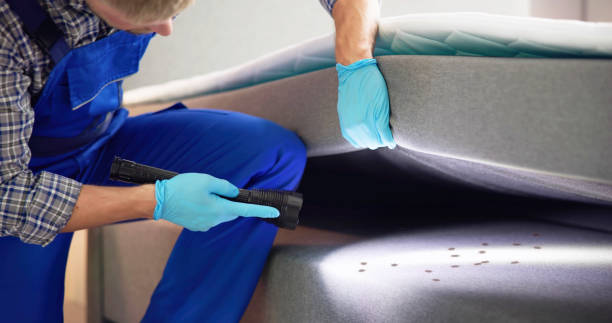 Best Pest Control for Restaurants  in Temple City, CA