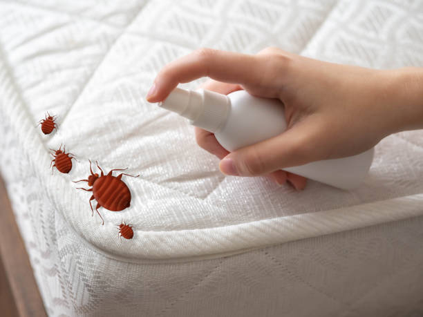 Best Emergency Pest Control  in Temple City, CA