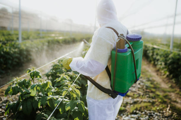 Best Wasp Removal Services  in Temple City, CA